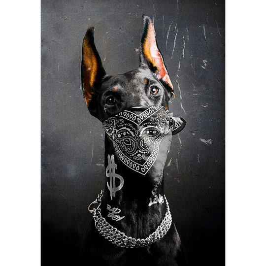 Doberman gangster