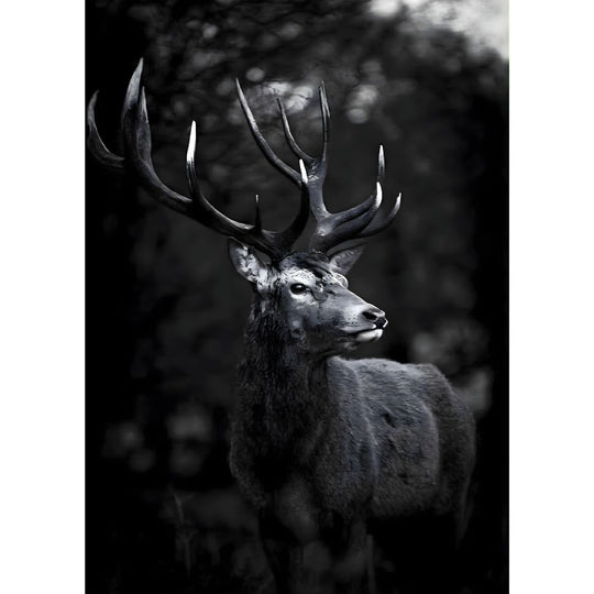 Cerf Majestueux noir et blanc