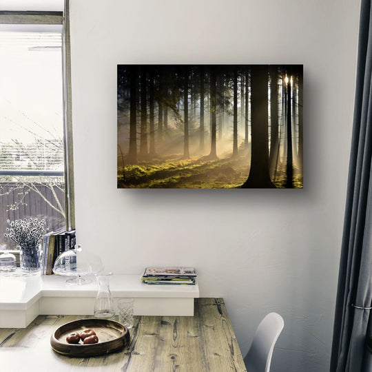 Forêt Des Ardennes