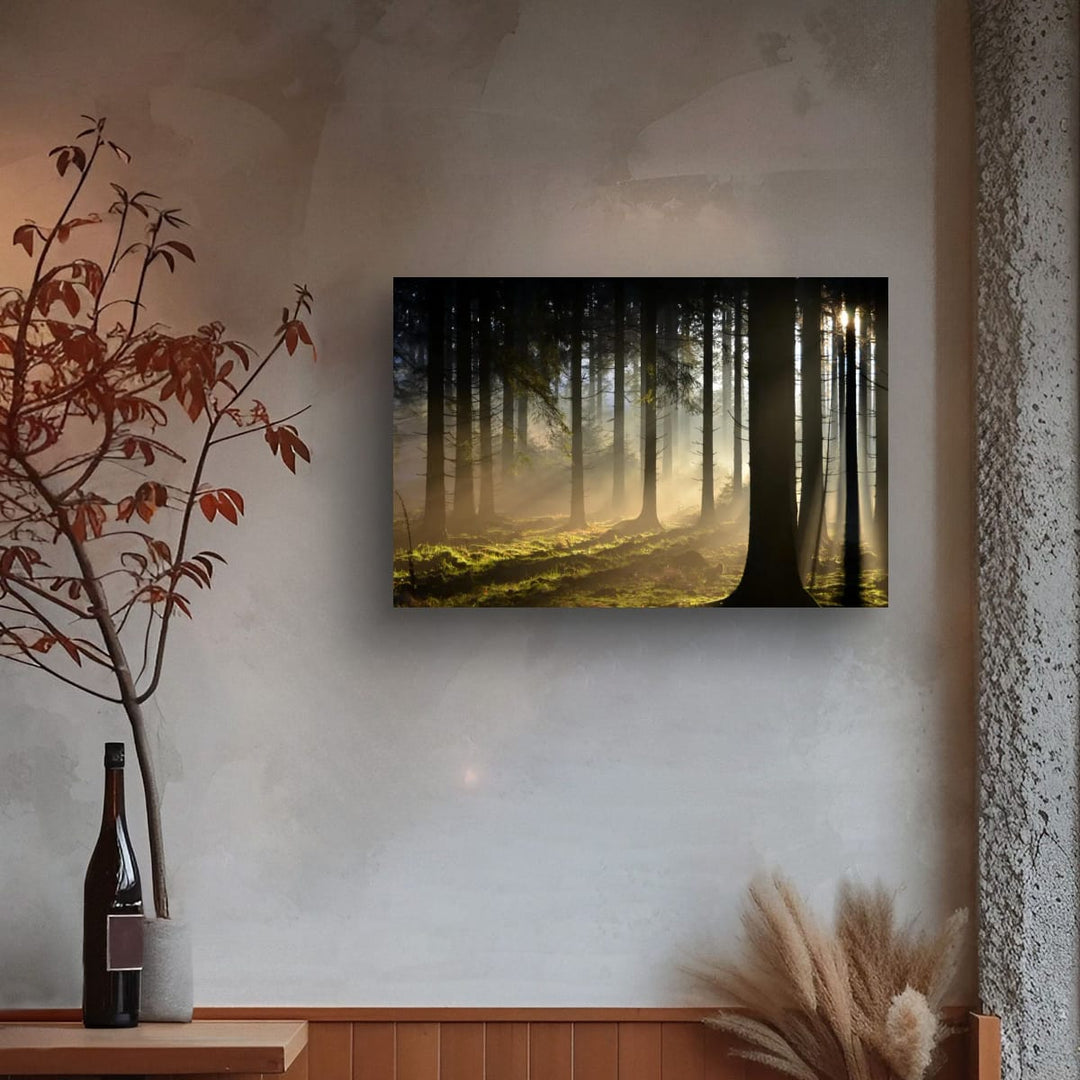 Forêt Des Ardennes