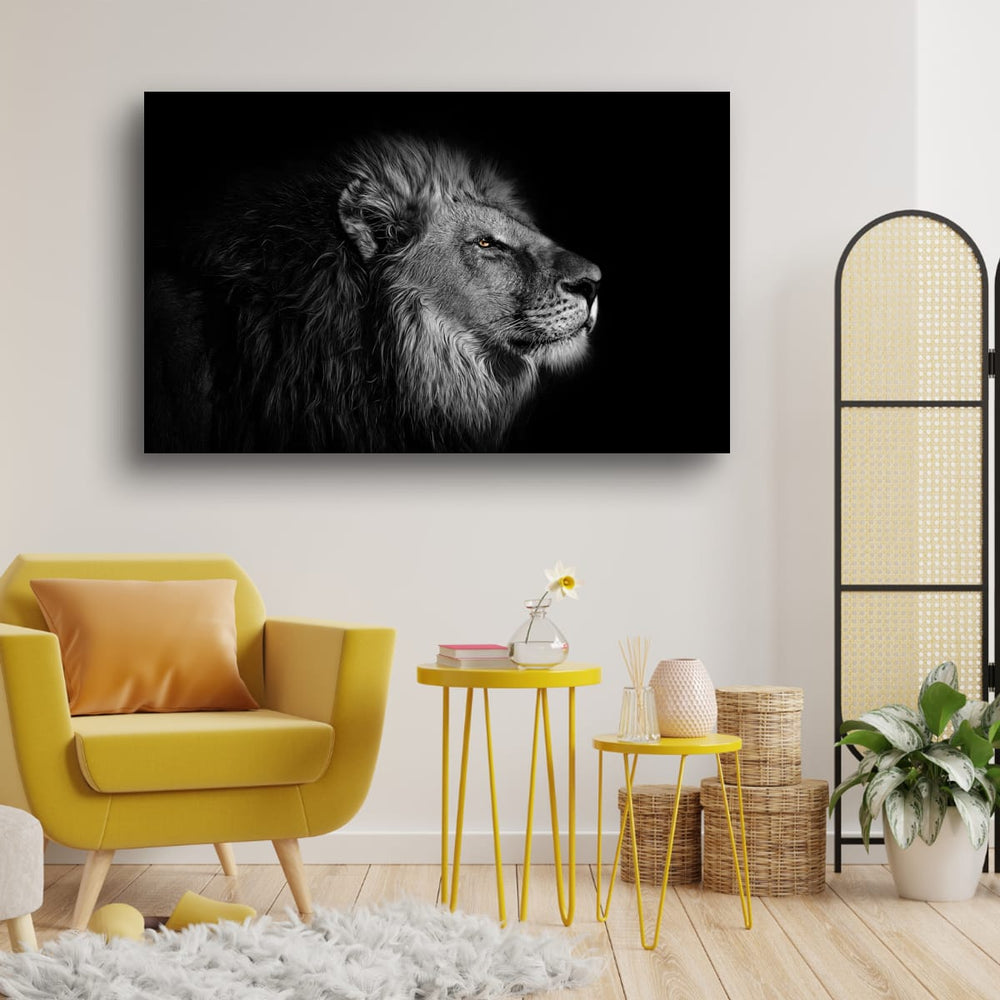 Regard du lion