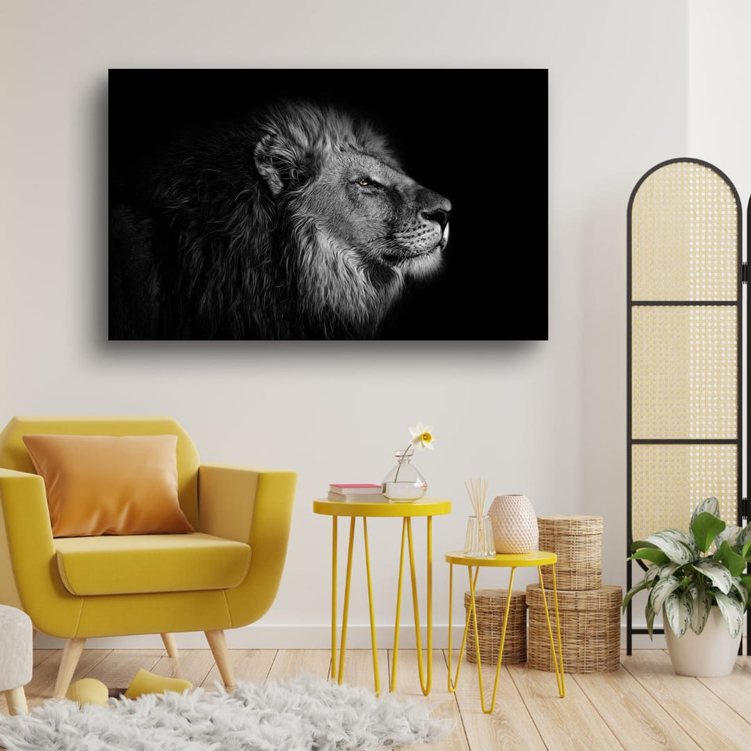 Regard du lion