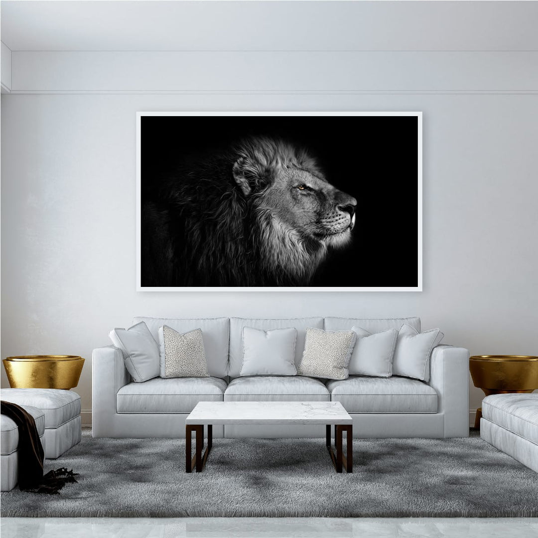 Regard du lion
