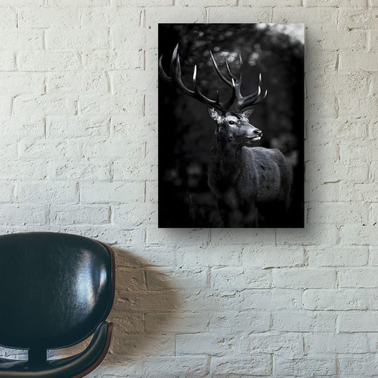 Cerf Majestueux noir et blanc