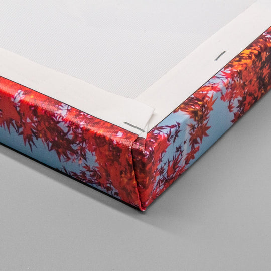 Toile (4cm)